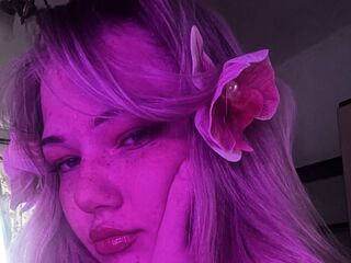 cambabe AshleaSenerchia